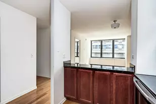 222 E Pearson St, Chicago, IL 60611 - Photo 11