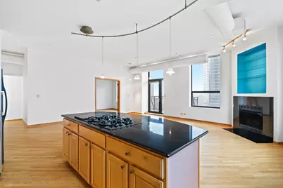 910 S Michigan Avenue #1011, Chicago, IL 60605 - Photo 9