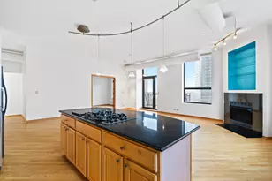 910 S Michigan Ave, Chicago, IL 60605 - Photo 9