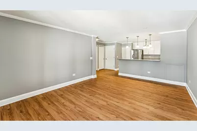 1613 Silverstone Drive #1613, Carpentersville, IL 60110 - Photo 5