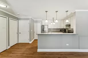 1613 Silverstone Dr, Carpentersville, IL 60110 - Photo 9