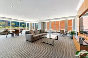 445 E North Water St, Chicago, IL 60611 - Photo 39