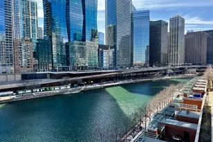 445 E North Water St, Chicago, IL 60611 - Photo 5