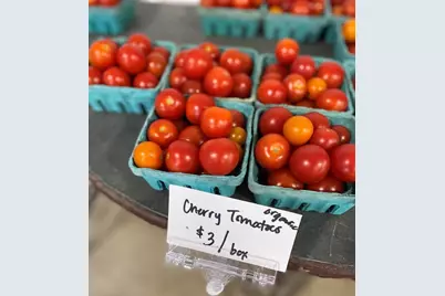 1007 Harris Road, Grayslake, IL 60030 - Photo 27