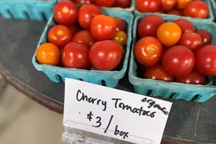 1007 Harris Rd, Grayslake, IL 60030 - Photo 27