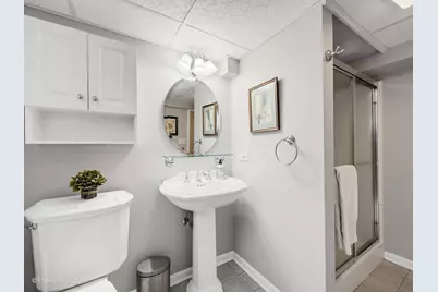 424 S Edgewood Avenue, La Grange, IL 60525 - Photo 27