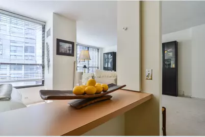 [Address not provided], Chicago, IL 60611 - Photo 7