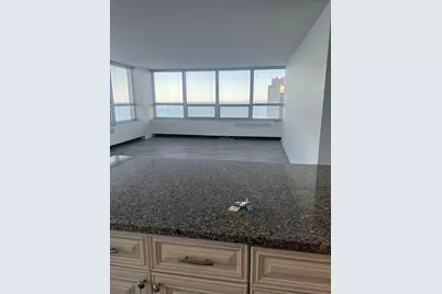 4800 S Chicago Beach Drive #2212, Chicago, IL 60615 - Photo 3