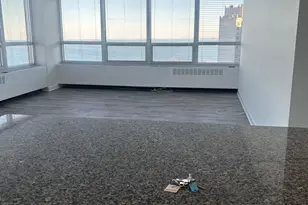 4800 S Chicago Beach Dr, Chicago, IL 60615 - Photo 3