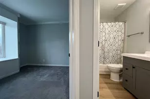 22306 W Niagara Ct, Plainfield, IL 60544 - Photo 49