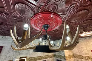 3515 Union Ave, Steger, IL 60475 - Photo 47