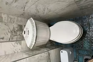 3515 Union Ave, Steger, IL 60475 - Photo 61