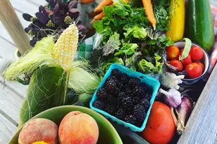 1571 Amos Bennett St, Grayslake, IL 60030 - Photo 33