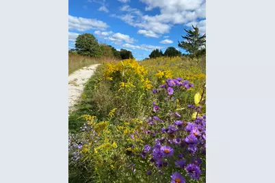 1571 Amos Bennett Street, Grayslake, IL 60030 - Photo 29