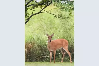 1571 Amos Bennett Street, Grayslake, IL 60030 - Photo 35