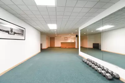 307 Anne Court, Prospect Heights, IL 60070 - Photo 29