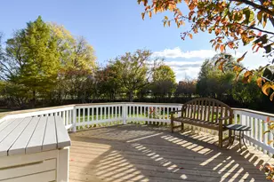 307 Anne Ct, Prospect Heights, IL 60070 - Photo 37