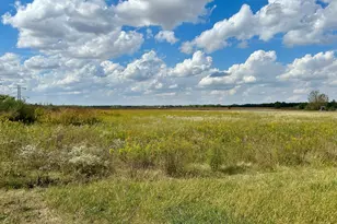 1065 N Gorman Rd, Morris, IL 60450 - Photo 1