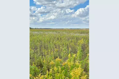 1065 N Gorman Road, Morris, IL 60450 - Photo 3