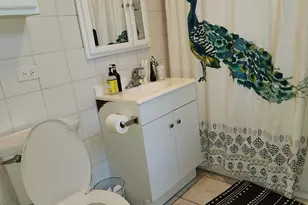 2152 W Iowa St, Chicago, IL 60622 - Photo 7