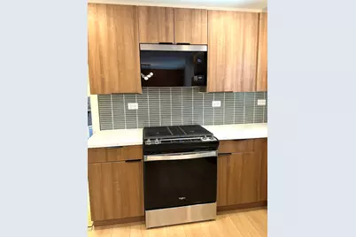 821 W Manor Court, Glenwood, IL 60425 - Photo 11