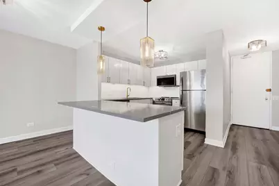 30 E Huron Street #4901, Chicago, IL 60611 - Photo 3