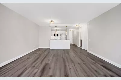 30 E Huron Street #4901, Chicago, IL 60611 - Photo 11