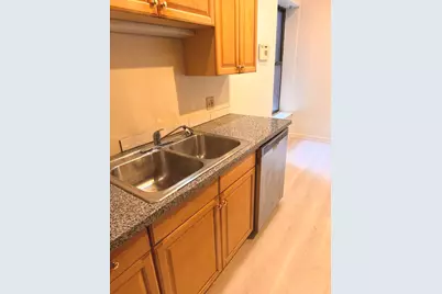 4615 S Michigan Avenue #2S, Chicago, IL 60653 - Photo 7