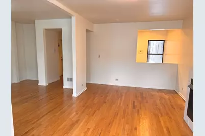 4615 S Michigan Avenue #2S, Chicago, IL 60653 - Photo 11