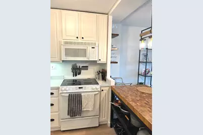 88 W Schiller Street #1707, Chicago, IL 60610 - Photo 7