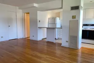 40 E 9th St, Chicago, IL 60605 - Photo 5