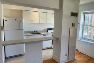 40 E 9th St, Chicago, IL 60605 - Photo 7