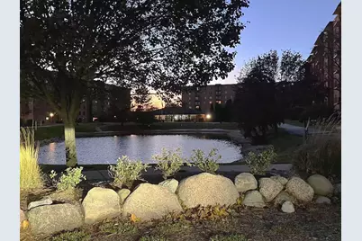 1727 W Crystal Lane #707B, Mount Prospect, IL 60056 - Photo 13