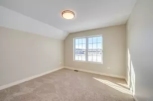 1074 Freedom Rd, Elburn, IL 60119 - Photo 19