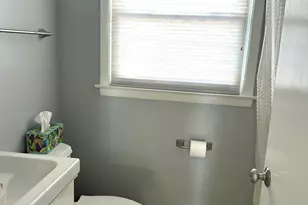 1228 S Chestnut Ave, Arlington Heights, IL 60005 - Photo 19