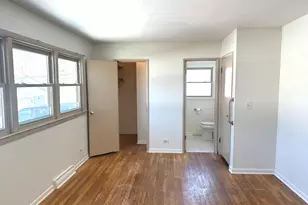 1228 S Chestnut Ave, Arlington Heights, IL 60005 - Photo 15