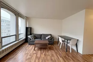 1450 E 55th Pl, Chicago, IL 60637 - Photo 3