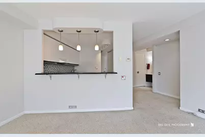 300 N State Street #2212, Chicago, IL 60654 - Photo 11