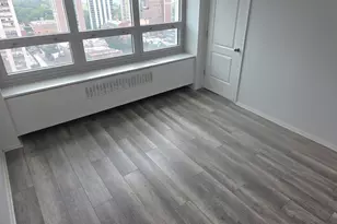 88 W Schiller St, Chicago, IL 60610 - Photo 9