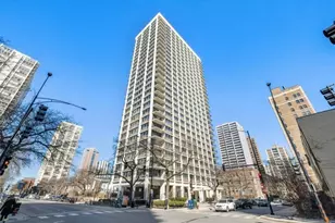 88 W Schiller St, Chicago, IL 60610 - Photo 19