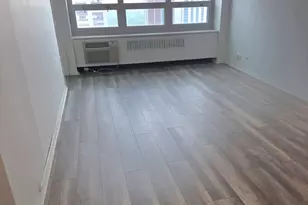 88 W Schiller St, Chicago, IL 60610 - Photo 7