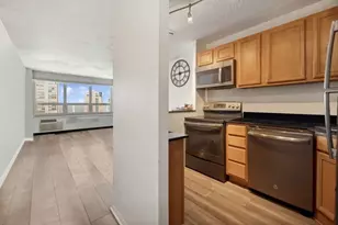 88 W Schiller St, Chicago, IL 60610 - Photo 5