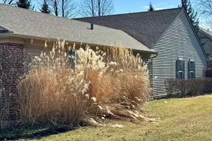 97 W Essington Dr, Round Lake, IL 60073 - Photo 3