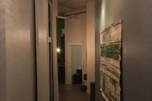 320 E 21st St, Chicago, IL 60616 - Photo 19