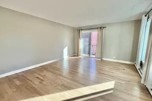 1104 N Mill St, Naperville, IL 60563 - Photo 9