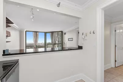 111 W Maple Street #2210, Chicago, IL 60610 - Photo 9