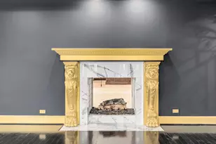 14 Ambriance Dr, Burr Ridge, IL 60527 - Photo 23