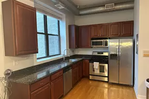 1560 W Wabansia Ave, Chicago, IL 60642 - Photo 3