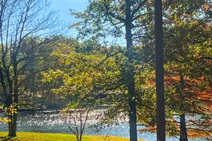 381 County Rd 100 E Lot 14, Norris City, IL 62869 - Photo 3