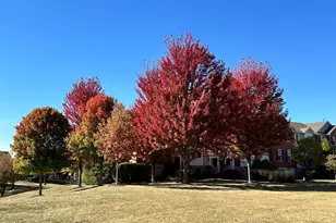102 Town Center Blvd, Gilberts, IL 60136 - Photo 37